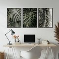 Zestaw obrazy w ramie, plakaty - liście, palmy, tropikalne - rama czarna