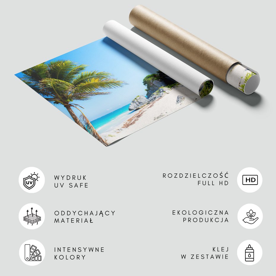 Fototapeta - plaża, morze, palmy