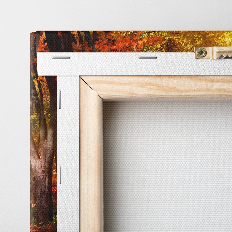 Obraz na płótnie - jesień, liście, drzewa