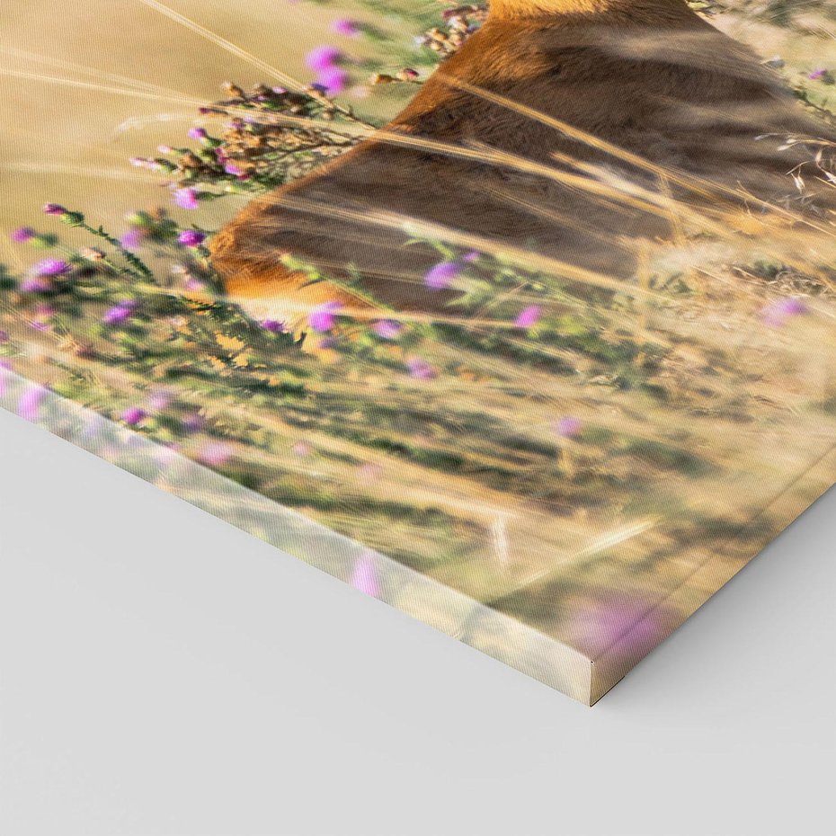 Obraz na płótnie - jeleń, kwiaty, trawa