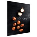 Obraz na płótnie - cebula, warzywo, jedzenie
