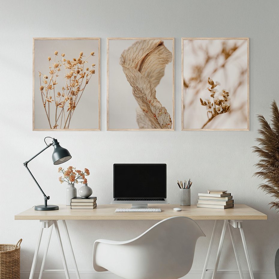 Zestaw obrazy w ramie, plakaty - roślina, kwiat, suszone - rama drewno