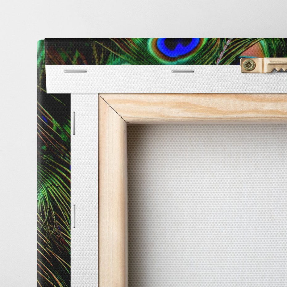 Obraz na płótnie - pawie pióra, pióra, abstrakcja