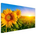 Obraz na płótnie - słoneczniki, kwiaty, lato