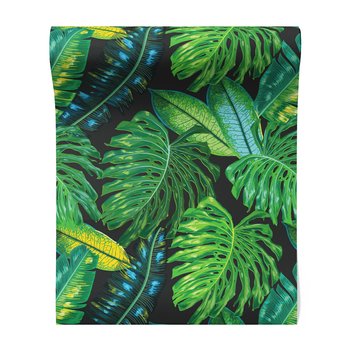 Tapeta - liście, natura, monstera