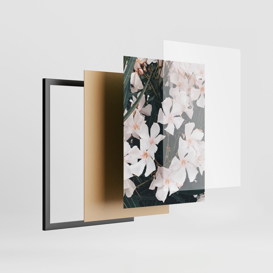 Zestaw obrazy w ramie, plakaty - kwiaty, biały, roślina - rama czarna
