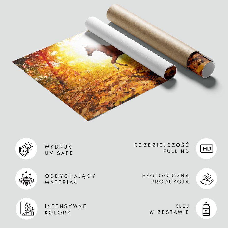 Fototapeta - koń, las, jesień