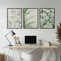 Zestaw obrazy w ramie, plakaty - liście, roślina, gałązka - rama czarna
