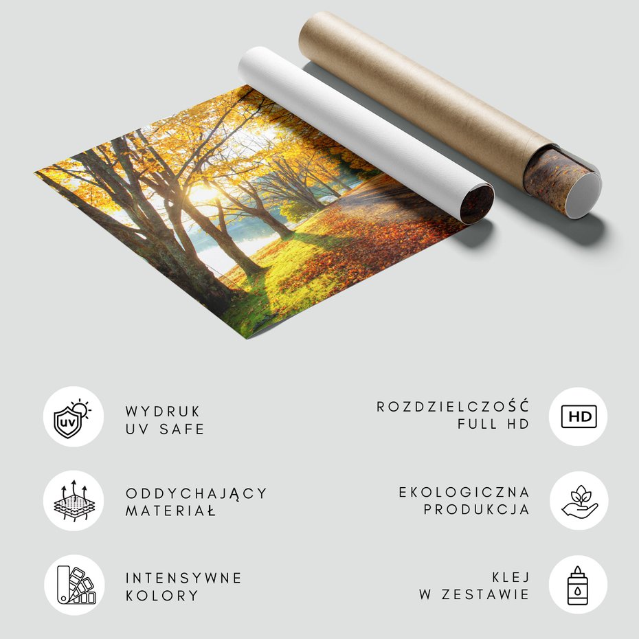 Fototapeta - jesień, liście, drzewa