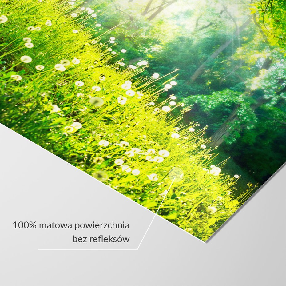 Fototapeta - las, wiosna, natura