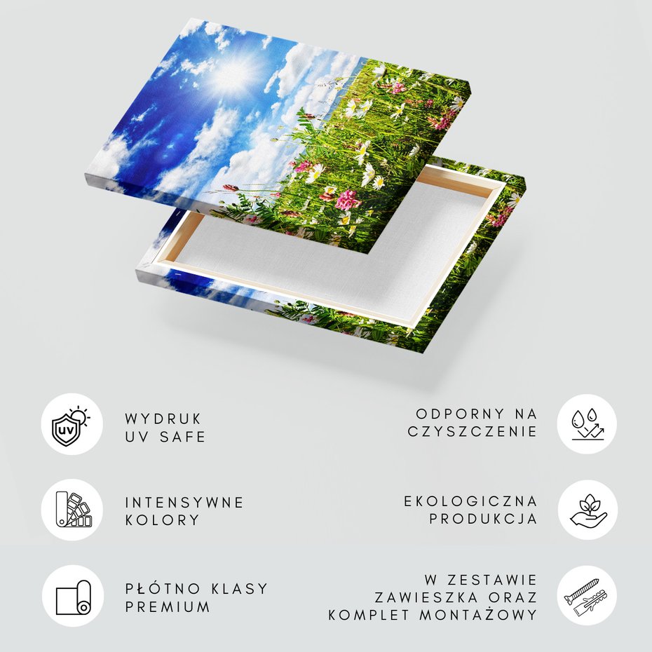 Obraz na płótnie - łąka, kwiaty, niebo