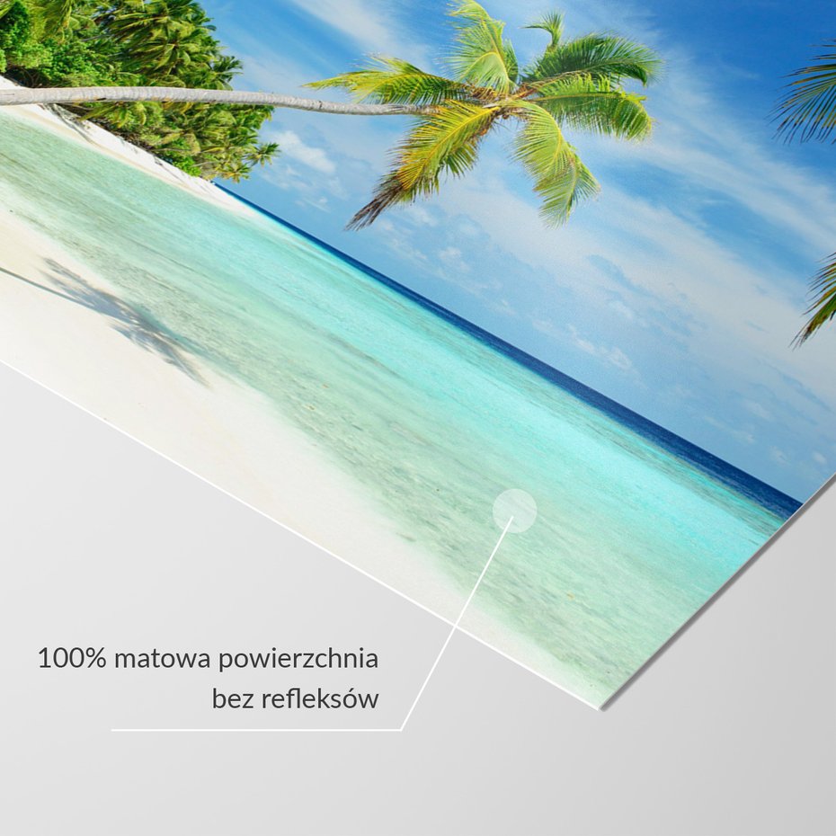 Fototapeta - plaża, palmy, morze