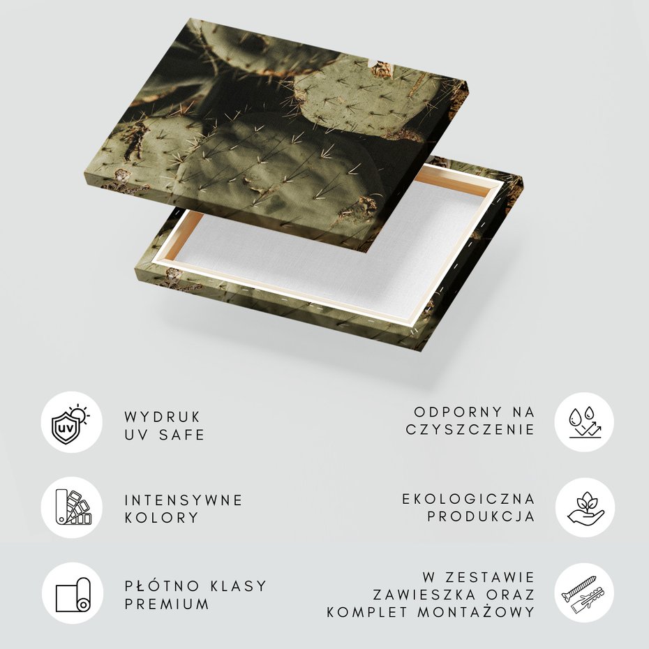 Obraz na płótnie - kaktus, kolce, pustynia