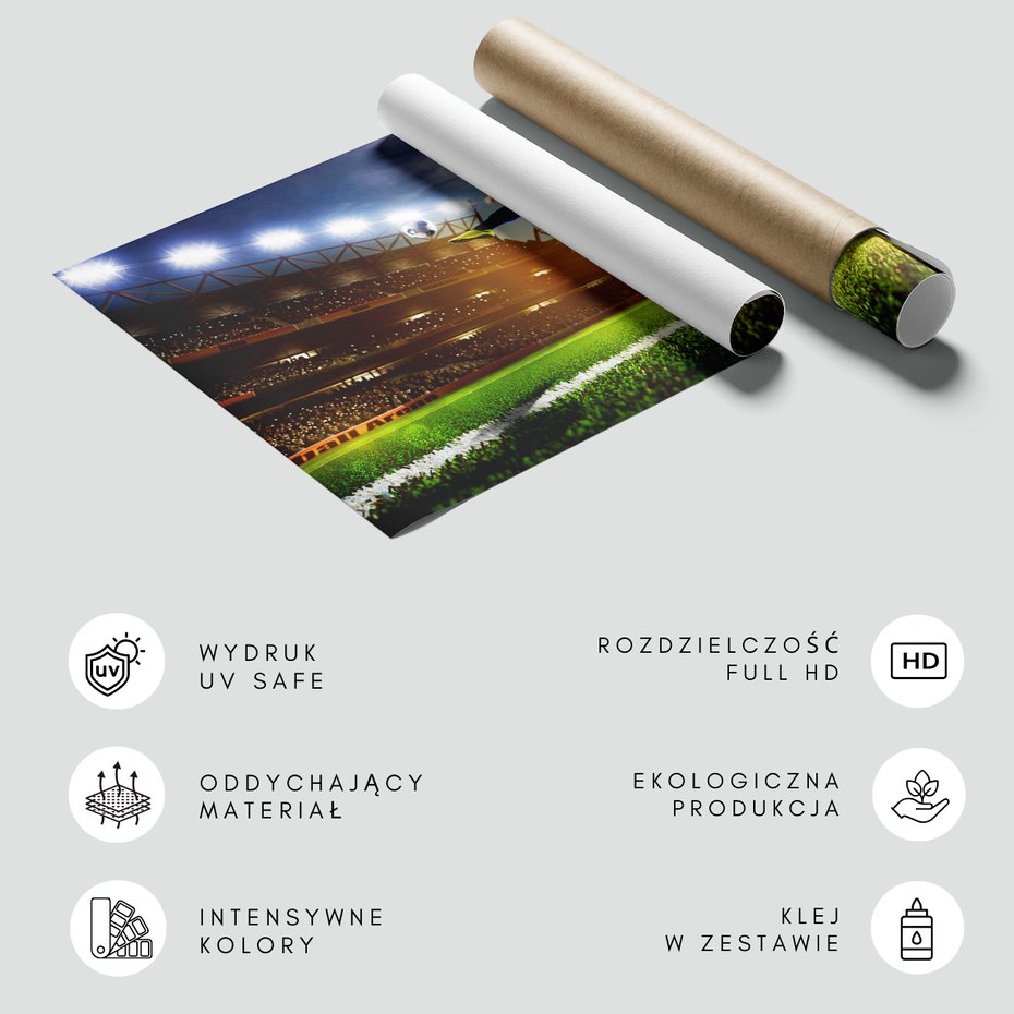 Fototapeta - piłka nożna, stadion, sport