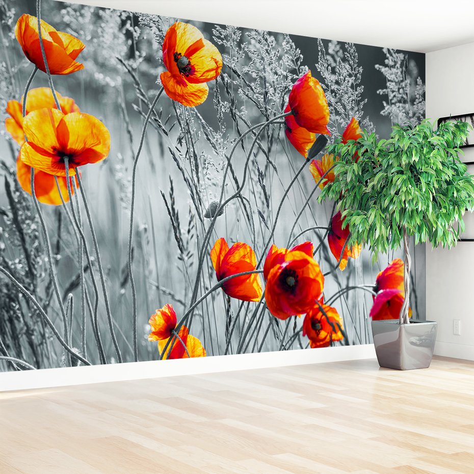 Fototapeta - maki, kwiaty, natura