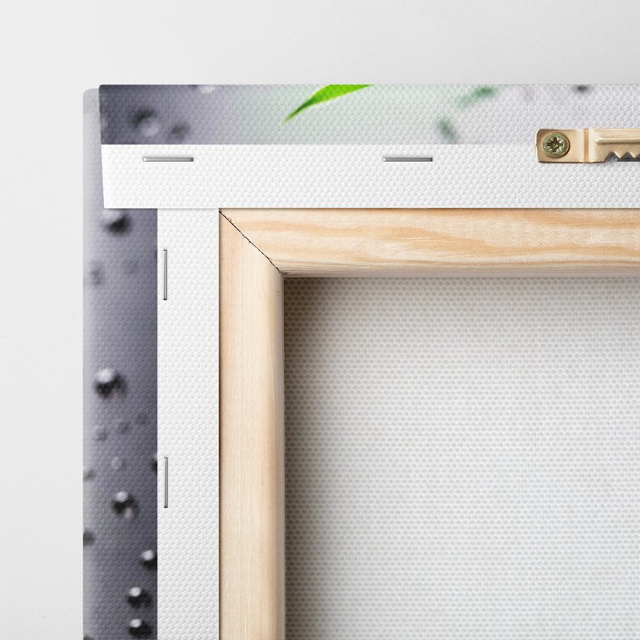 Obraz na płótnie - bambus, liście, krople