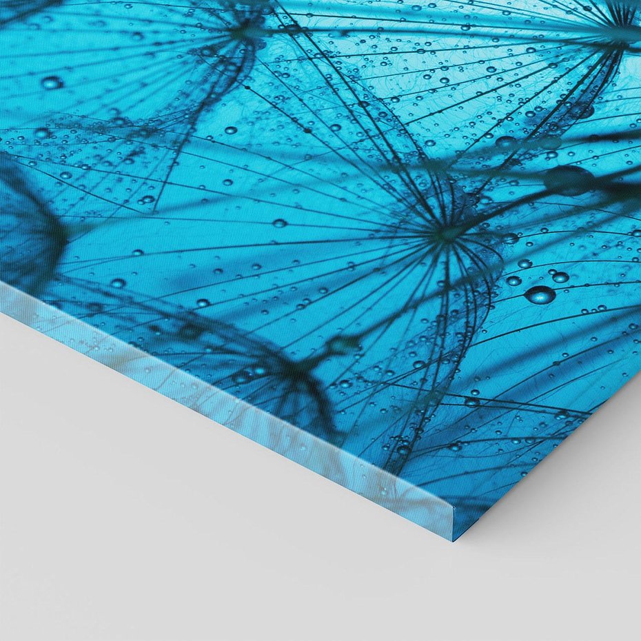 Obraz na płótnie - dmuchawiec, abstrakcja, natura