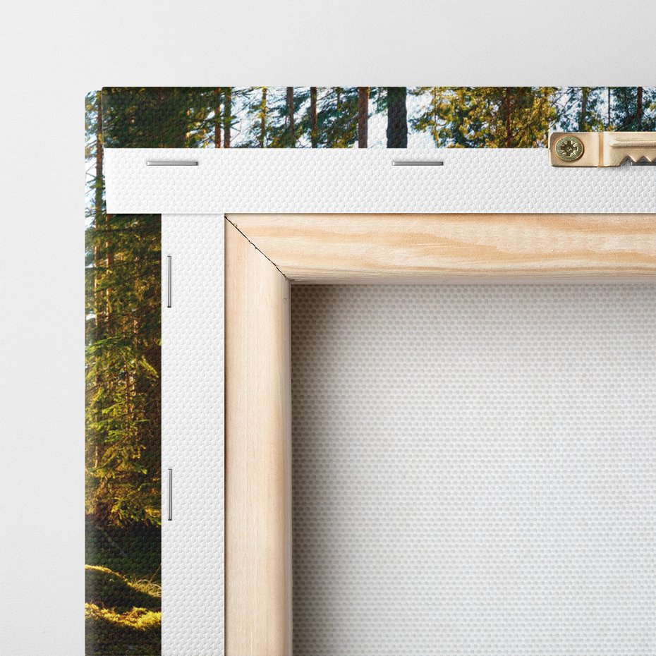 Obraz na płótnie - las, drzewa, natura