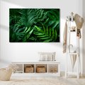 Obraz na płótnie - liście, rośliny, zielony