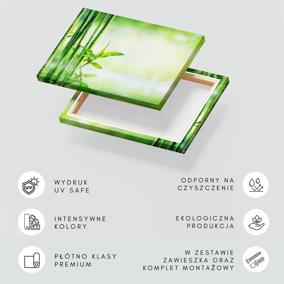 Obraz na płótnie - bambus, woda, liście