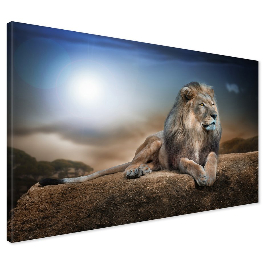 Obraz na płótnie - lew, kot, natura