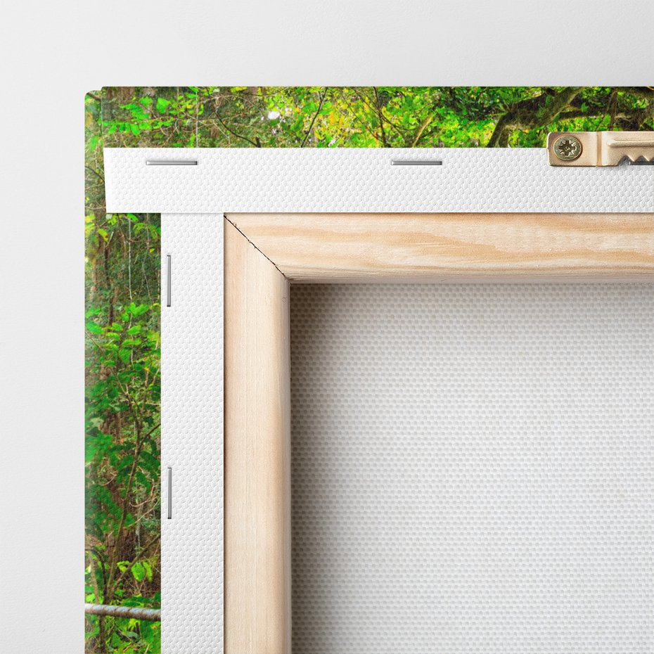 Obraz na płótnie - las, most, natura