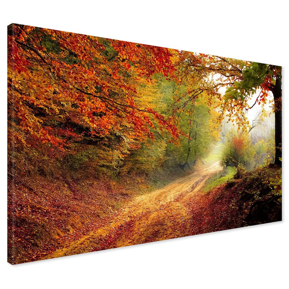 Obraz na płótnie - las, jesień, droga