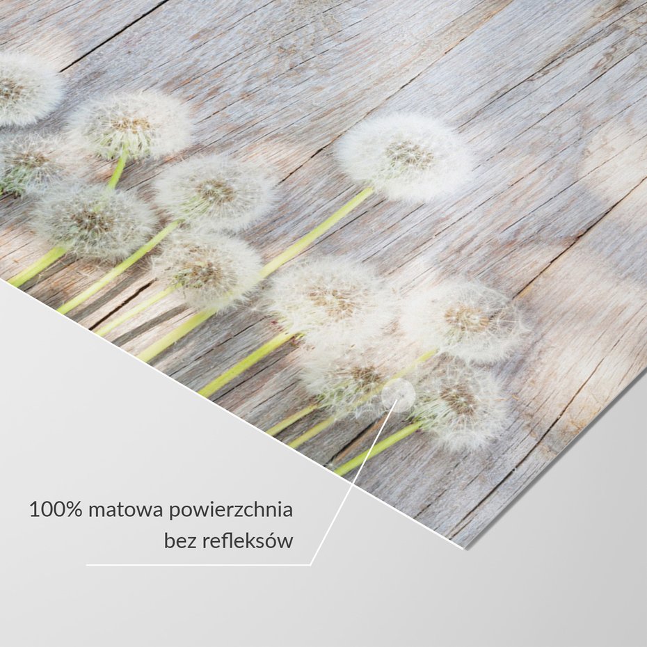 Fototapeta - dmuchawce, kwiaty, drewno