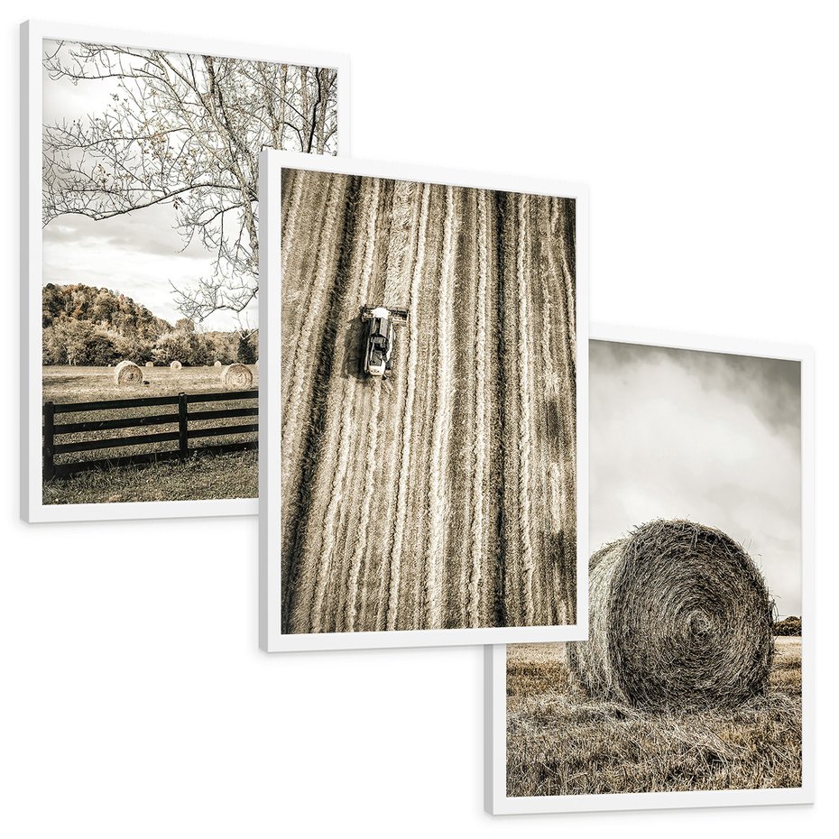 Zestaw obrazy w ramie, plakaty - wieś, pole, siano, - rama biała