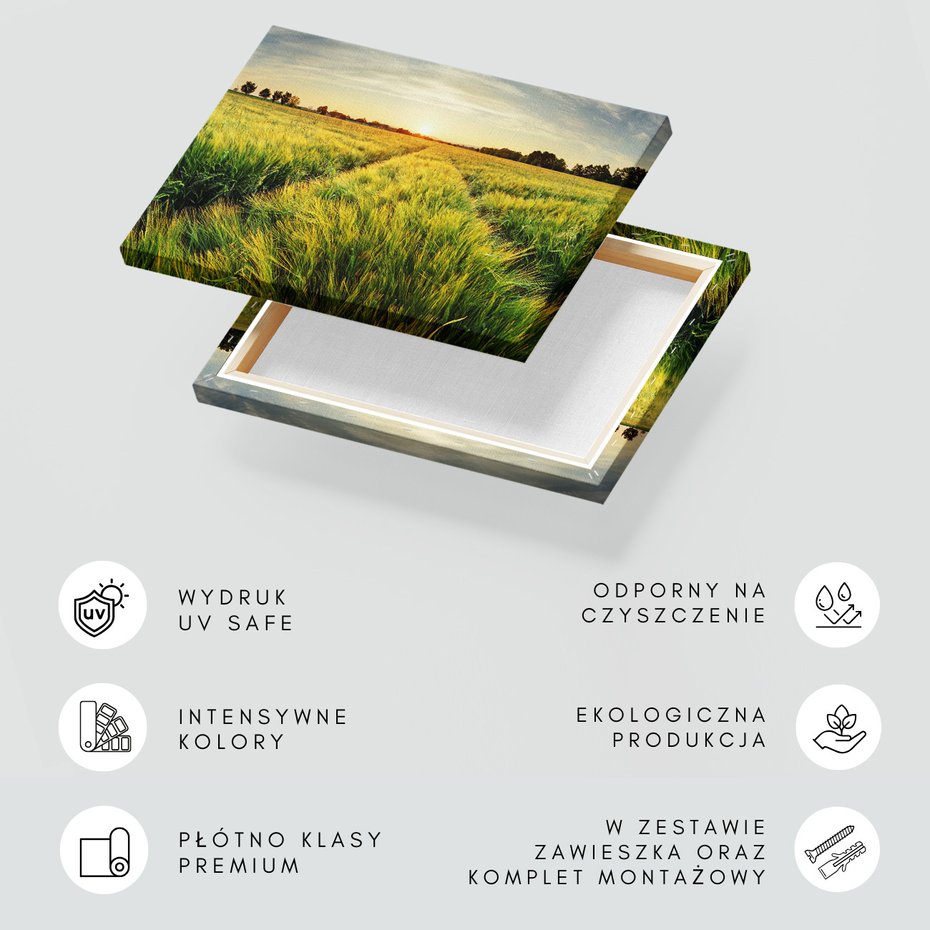 Obraz na płótnie - pole, zboże, lato