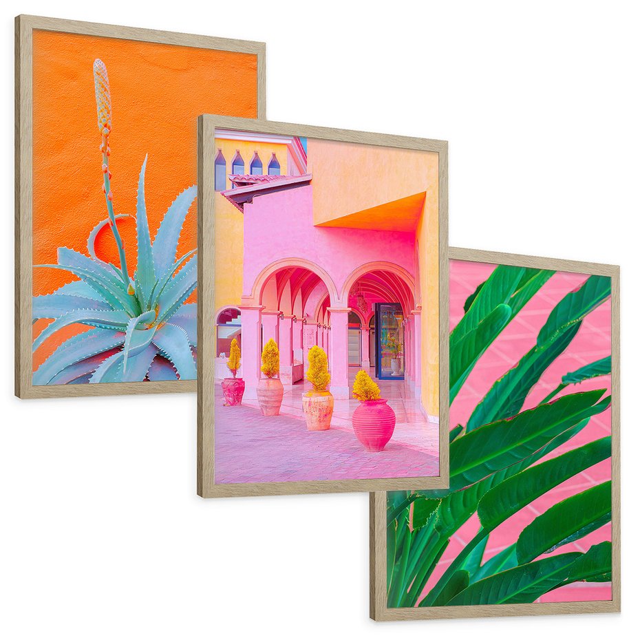 Zestaw obrazy w ramie, plakaty - rośliny, architektura, tropikalne - rama drewno