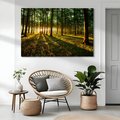 Obraz na płótnie - las, drzewa, światło