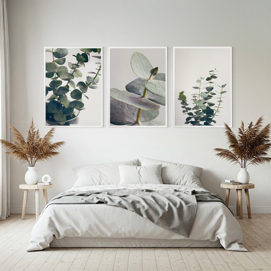 Zestaw obrazy w ramie, plakaty - eukaliptus, liście, gałązki - rama biała