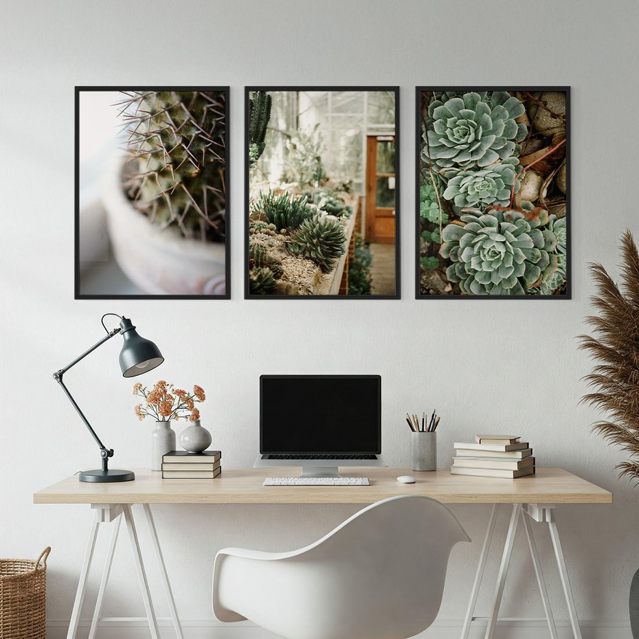 Zestaw obrazy w ramie, plakaty - kaktus, sukulenty, rośliny - rama czarna