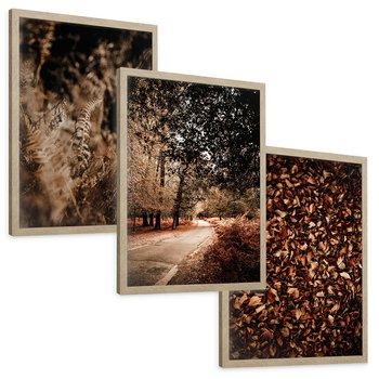 Zestaw obrazy w ramie, plakaty - jesień, liście, natura - rama drewno