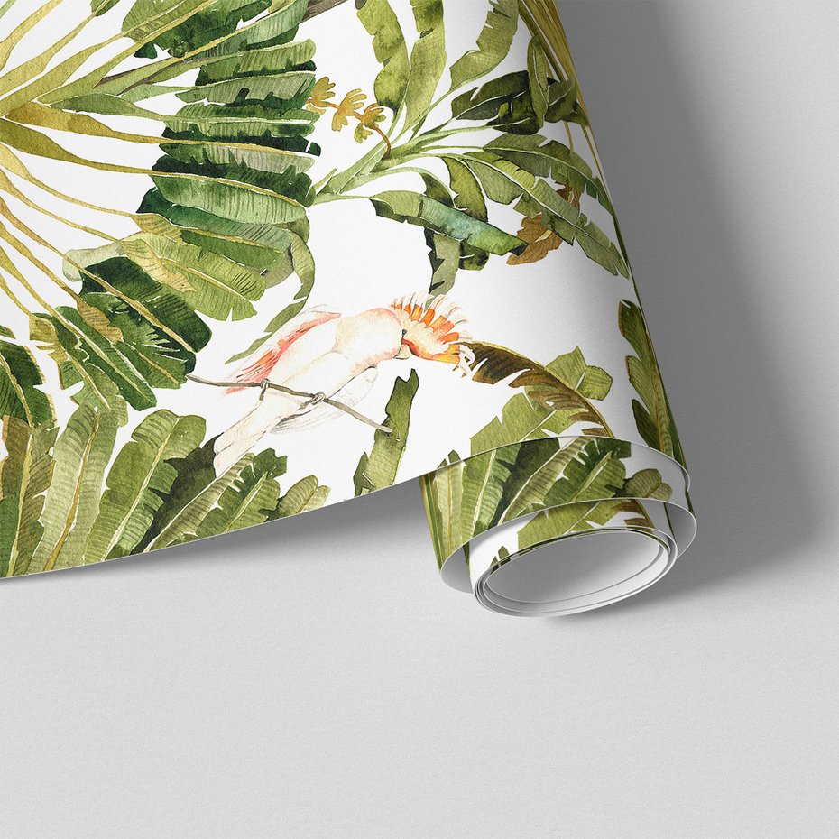 Tapeta - liście, papuga, tropiki