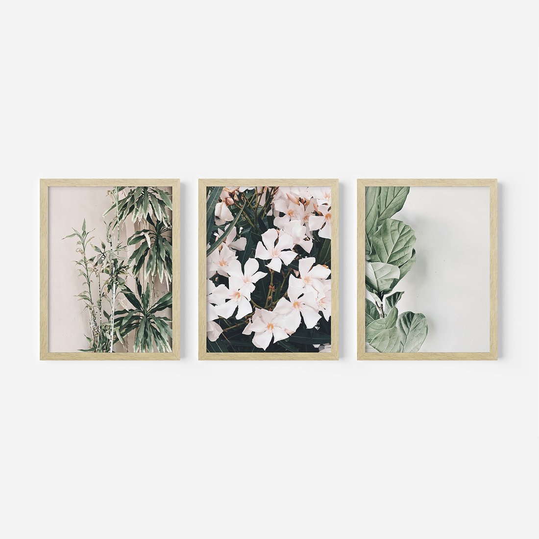Zestaw obrazy w ramie, plakaty - rośliny, kwiaty, liście - rama drewno