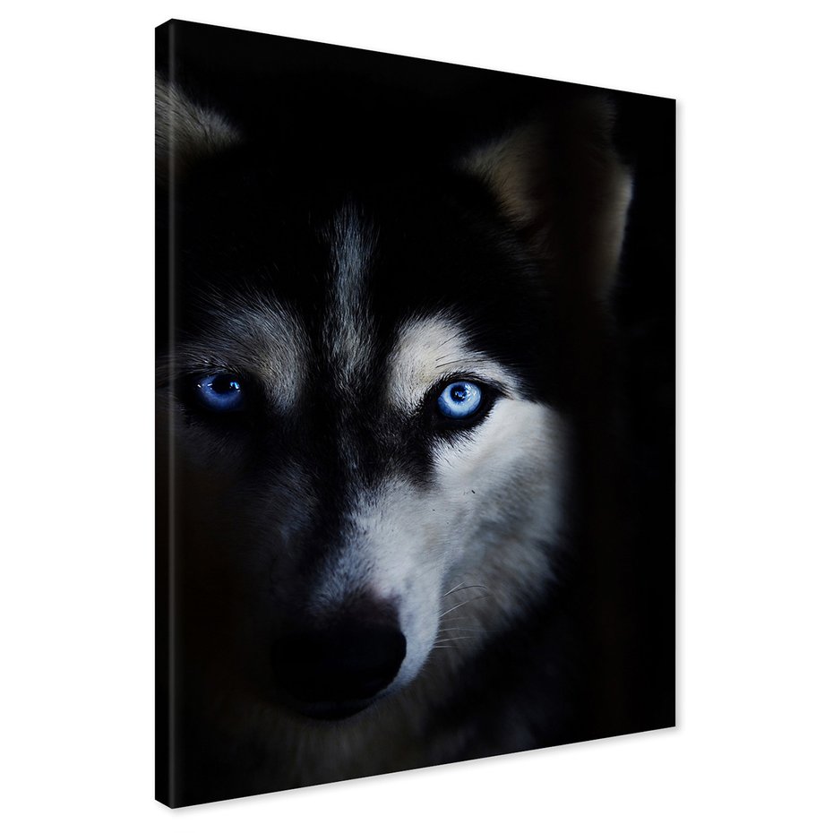 Obraz na płótnie - pies, husky, portret