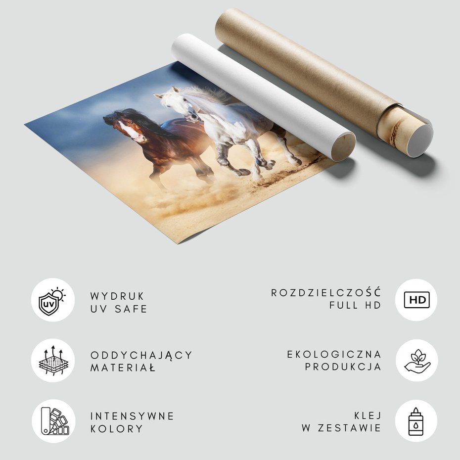 Fototapeta - konie, galop, pustynia