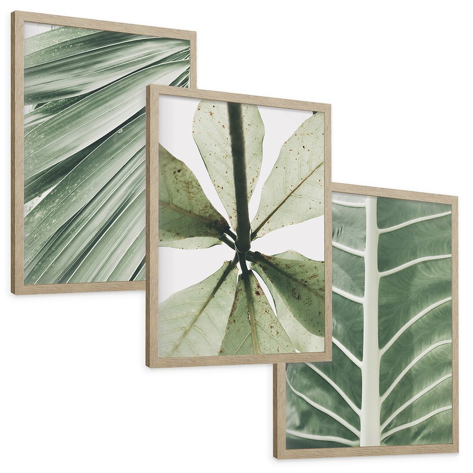 Zestaw obrazy w ramie, plakaty - liście, tropikalne, zielone - rama drewno