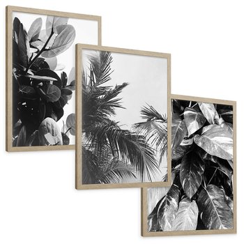 Zestaw obrazy w ramie, plakaty - liście, rośliny, natura - rama drewno