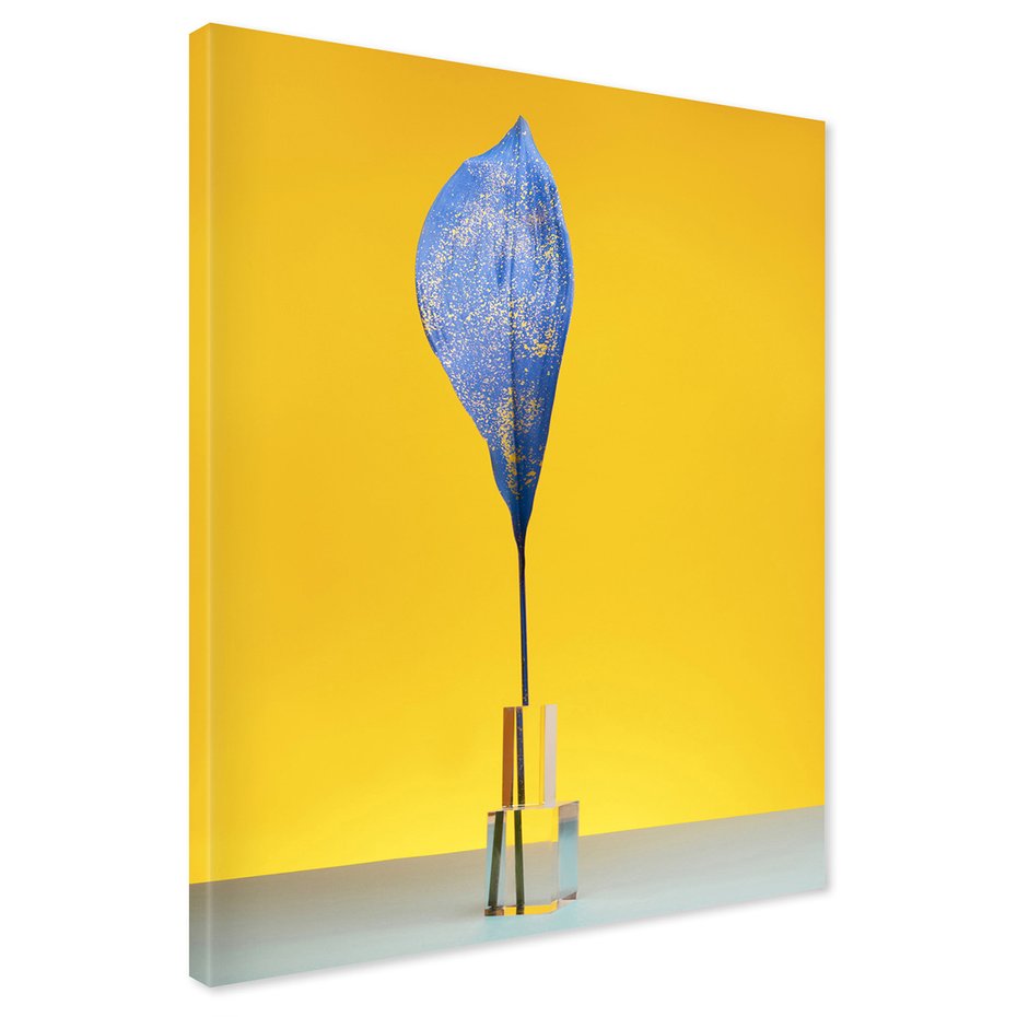 Obraz na płótnie - liść, niebieski, żółty