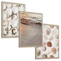 Zestaw obrazy w ramie, plakaty - muszle, plaża, woda - rama drewno