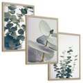 Zestaw obrazy w ramie, plakaty - eukaliptus, liście, gałązki - rama drewno