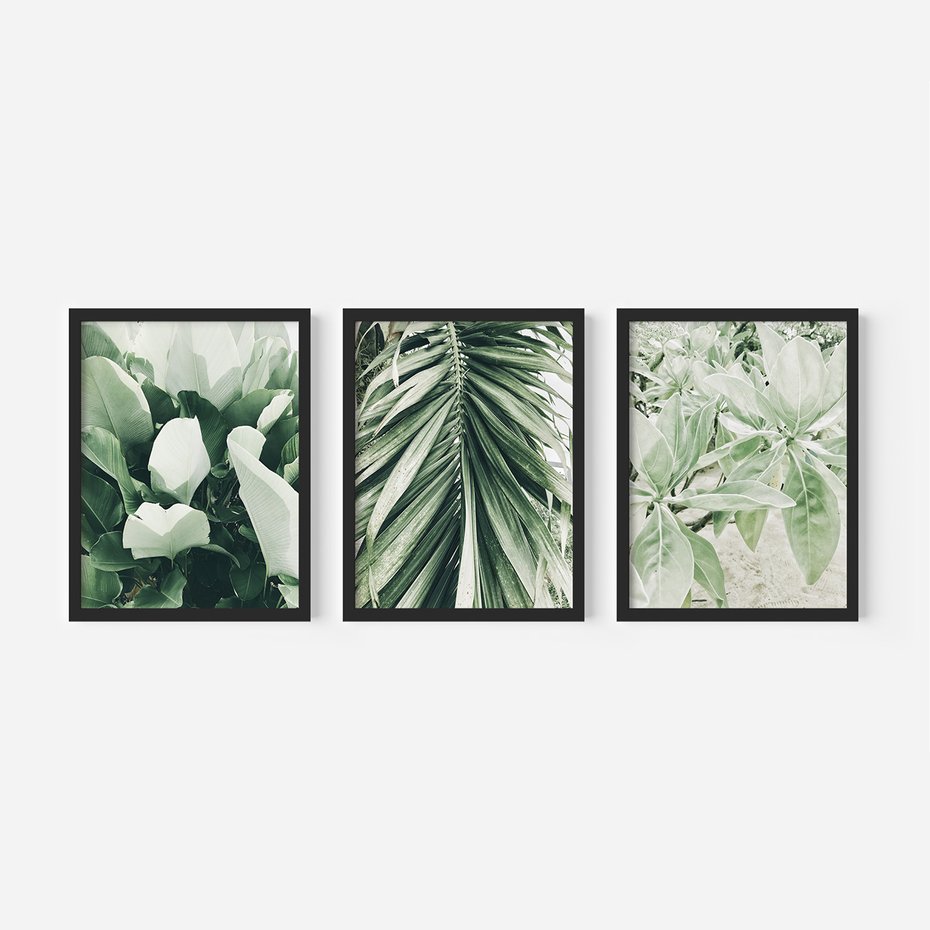 Zestaw obrazy w ramie, plakaty - liście, tropikalne, roślina - rama czarna