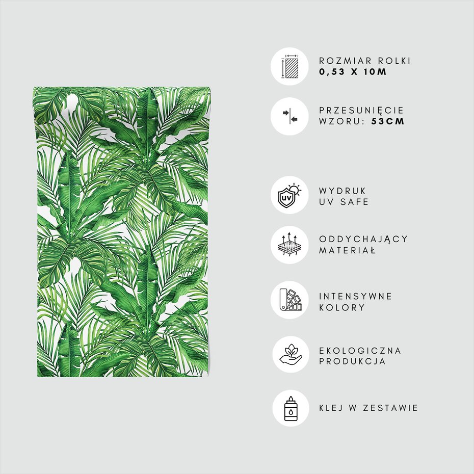 Tapeta - liście, dżungla, tropikalny