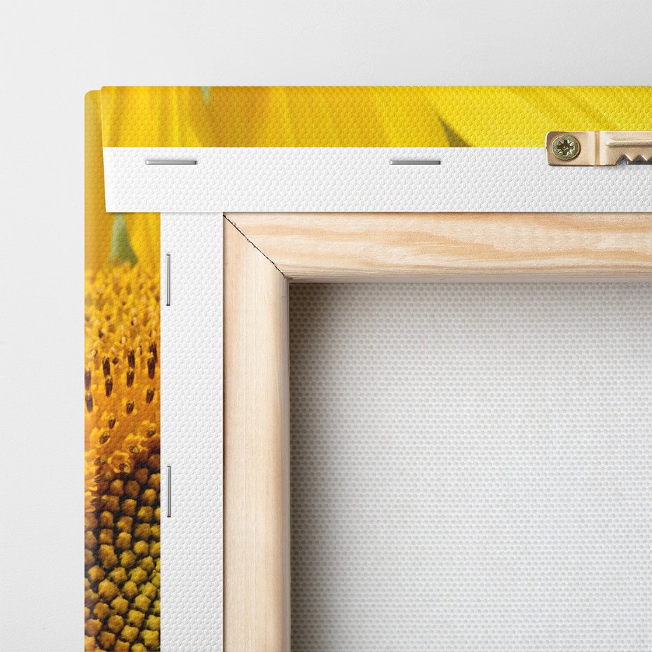 Obraz na płótnie - słonecznik, kwiat, żółty