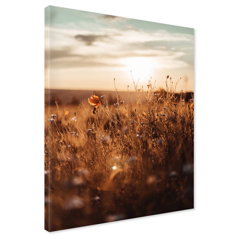 Obraz na płótnie - łąka, kwiaty, zachód słońca