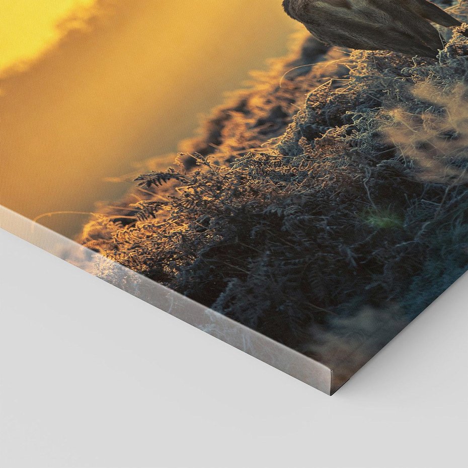 Obraz na płótnie - jeleń, natura, zima