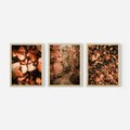 Zestaw obrazy w ramie, plakaty - liście,jesień,drzewa - rama drewno